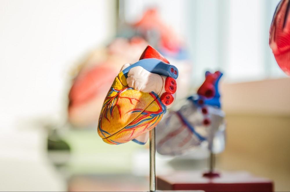The Role of a Heart Specialist in Early Diagnosis